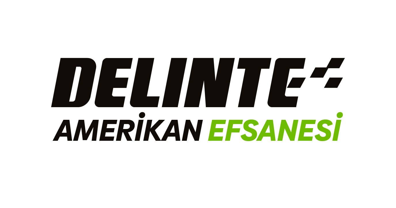 Delinte logo